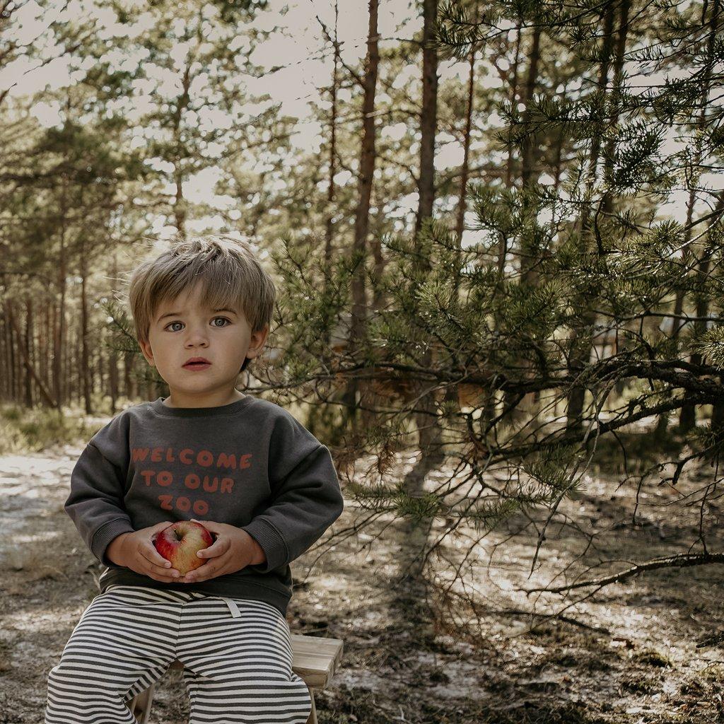 Світшот 